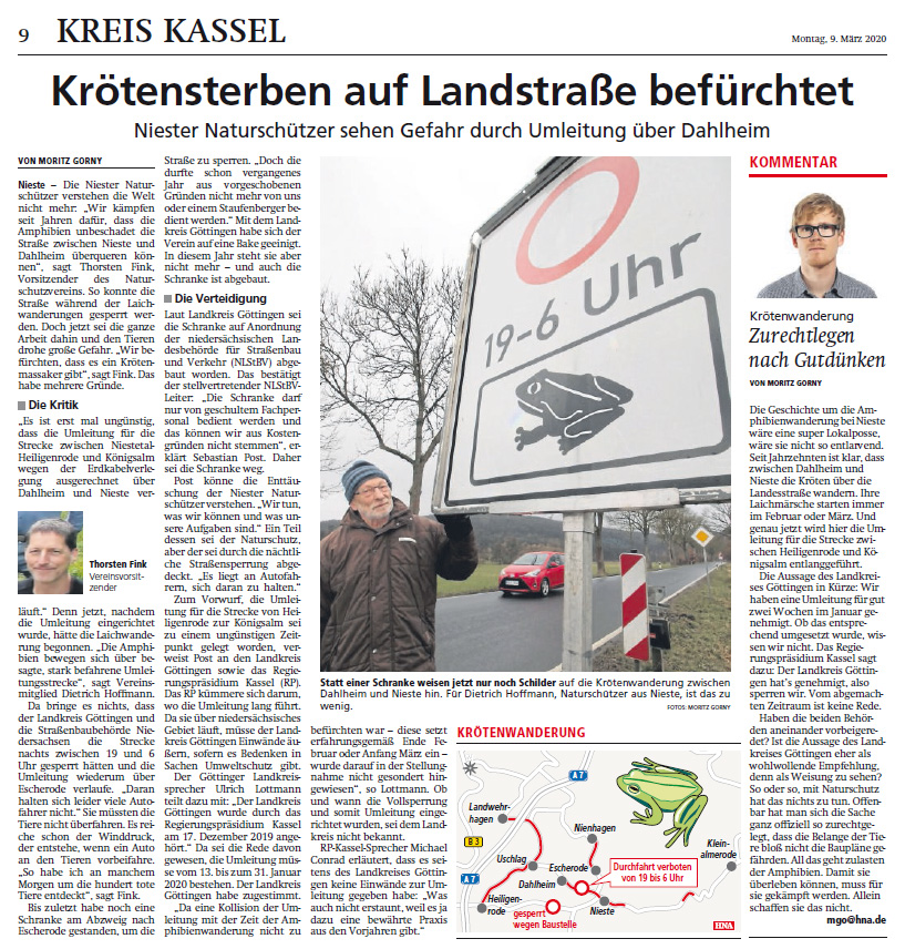 Krötensterben auf Landstraße befürchtet